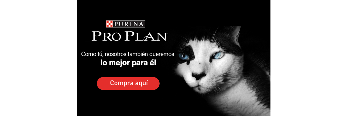 PROPLAN