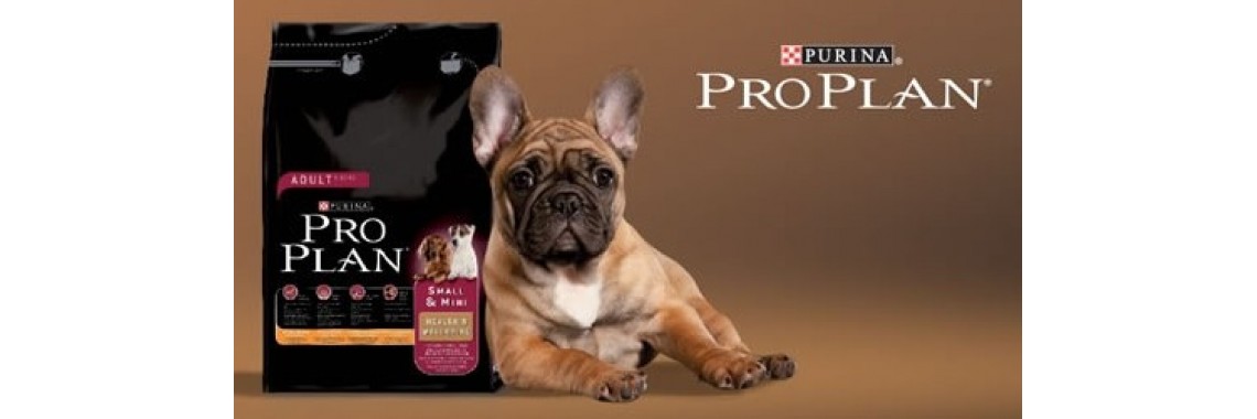 PROPLAN